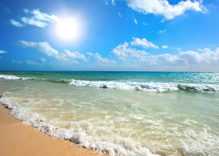 Anita C 19 Sunny Sluneční pobřeží